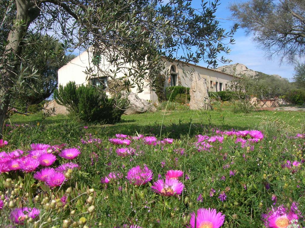 La Mesenda Rooms & Apartments Arzachena Exterior photo